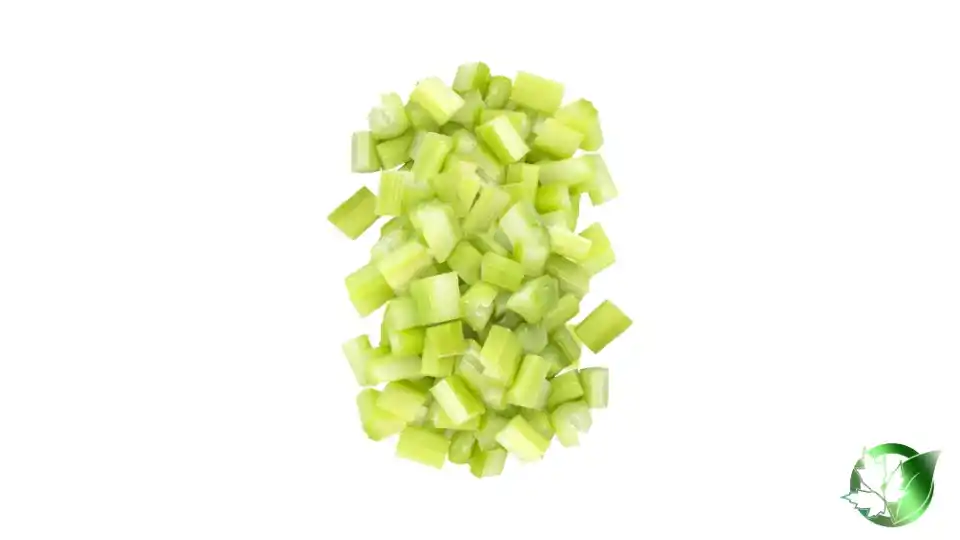 Bulk Frozen Celery | Suppliers | Wholesale | ParsaFood Global